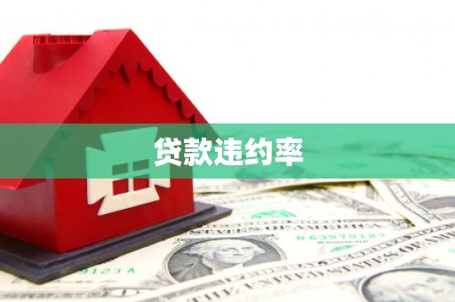 秦州贷款违约率