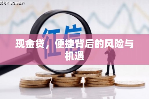 秦州现金贷，便捷背后的风险与机遇