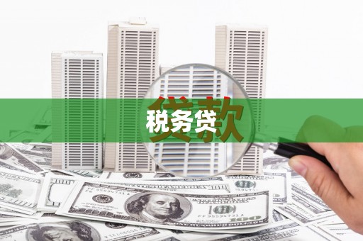 秦州税务贷