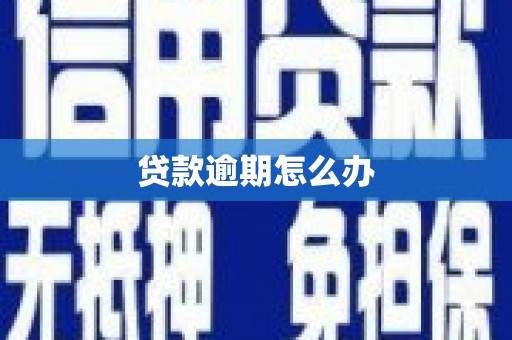 秦州贷款逾期怎么办
