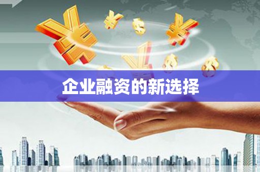 秦州企业融资的新选择