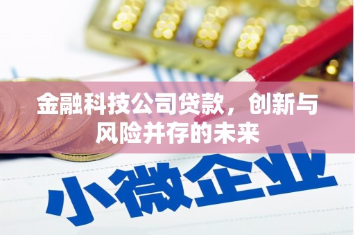 秦州金融科技公司贷款，创新与风险并存的未来