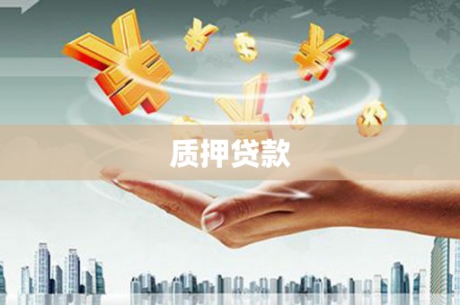 秦州质押贷款