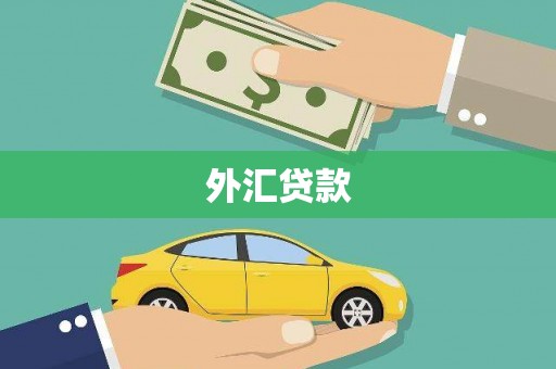 秦州外汇贷款