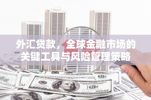 秦州外汇贷款，全球金融市场的关键工具与风险管理策略