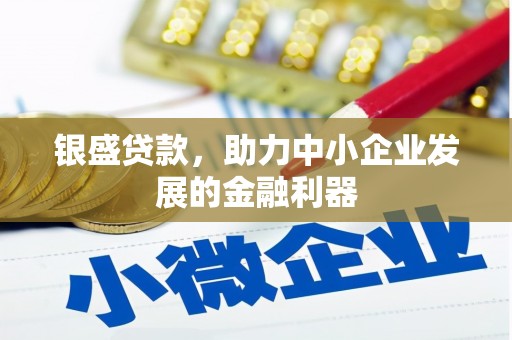 秦州银盛贷款，助力中小企业发展的金融利器