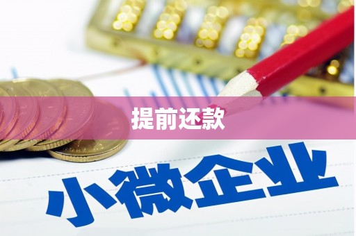 秦州提前还款