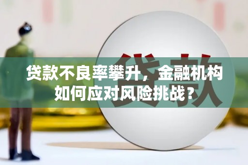 秦州贷款不良率攀升，金融机构如何应对风险挑战？