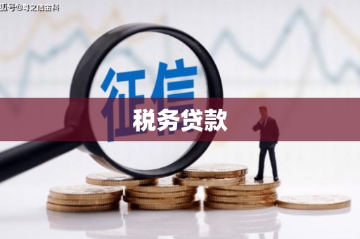 秦州税务贷款