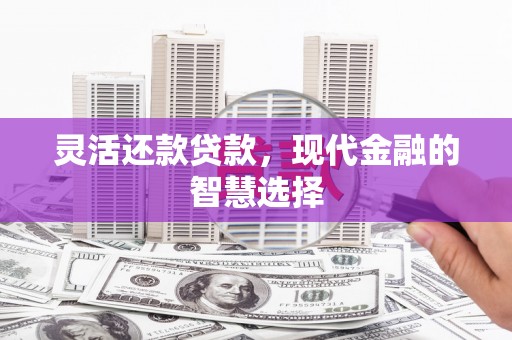 秦州灵活还款贷款，现代金融的智慧选择
