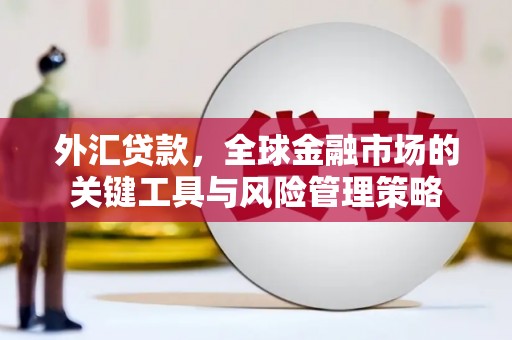 秦州外汇贷款，全球金融市场的关键工具与风险管理策略