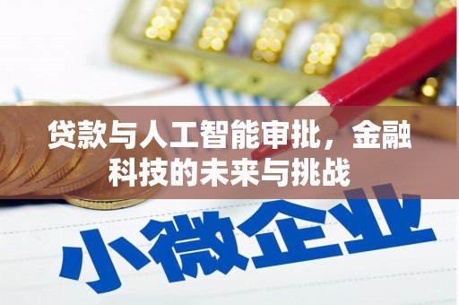 秦州贷款与人工智能审批，金融科技的未来与挑战