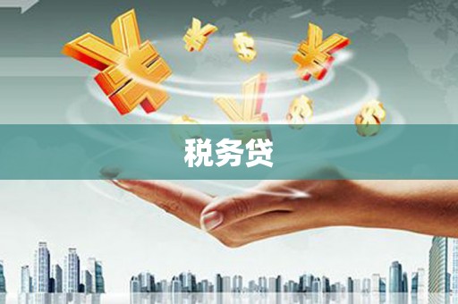 秦州税务贷