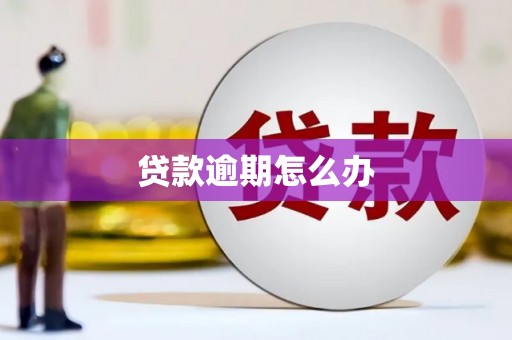 秦州贷款逾期怎么办