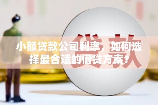 秦州小额贷款公司利率，如何选择最合适的借贷方案？
