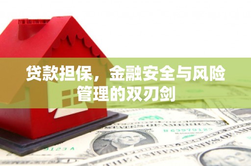 秦州贷款担保，金融安全与风险管理的双刃剑