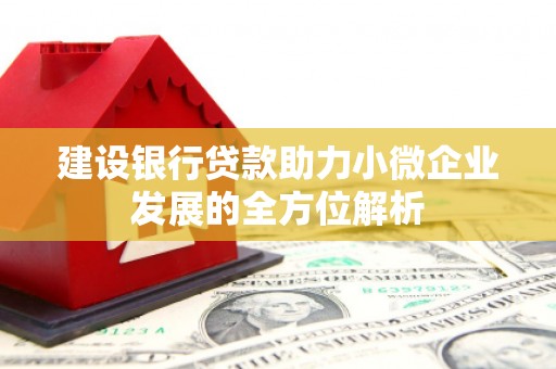秦州建设银行贷款助力小微企业发展的全方位解析
