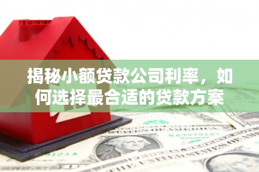 秦州揭秘小额贷款公司利率，如何选择最合适的贷款方案