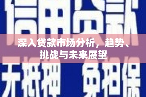 秦州深入贷款市场分析，趋势、挑战与未来展望