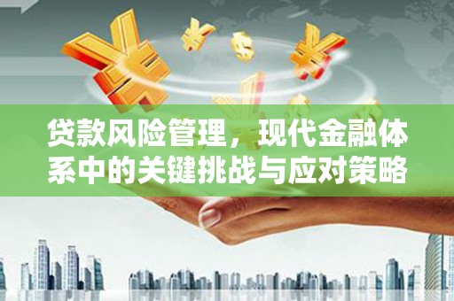 秦州贷款风险管理，现代金融体系中的关键挑战与应对策略