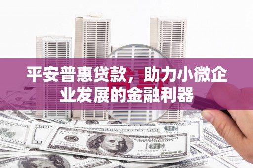 秦州平安普惠贷款，助力小微企业发展的金融利器