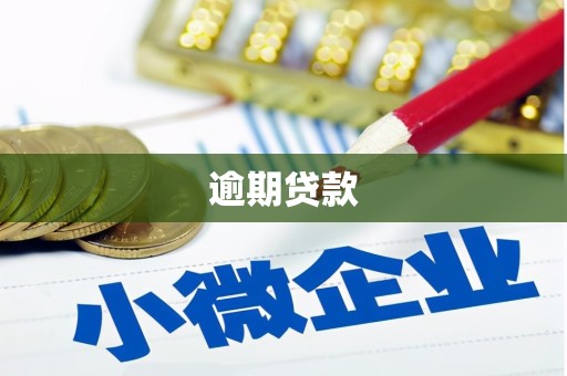 秦州逾期贷款